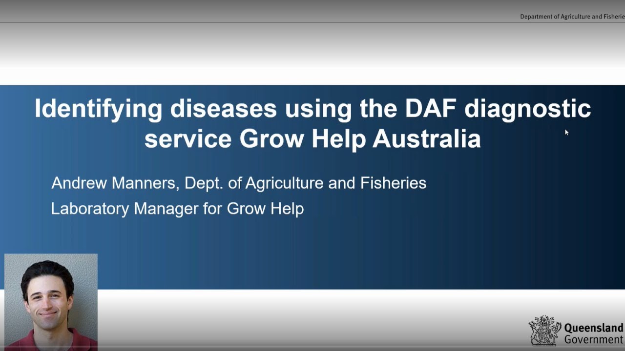 Identifying diseases using the DAF diagnostic service Grow Help Australia