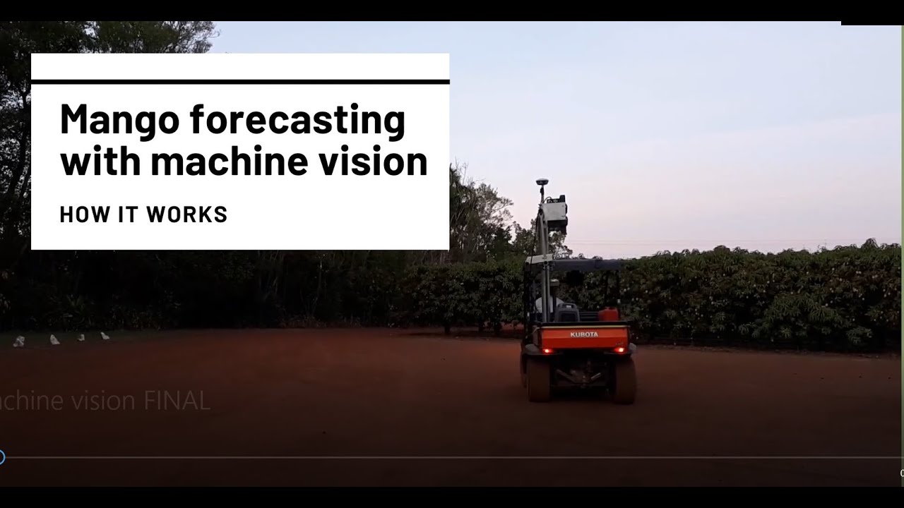 Mango forecasting with machine vision: how it works