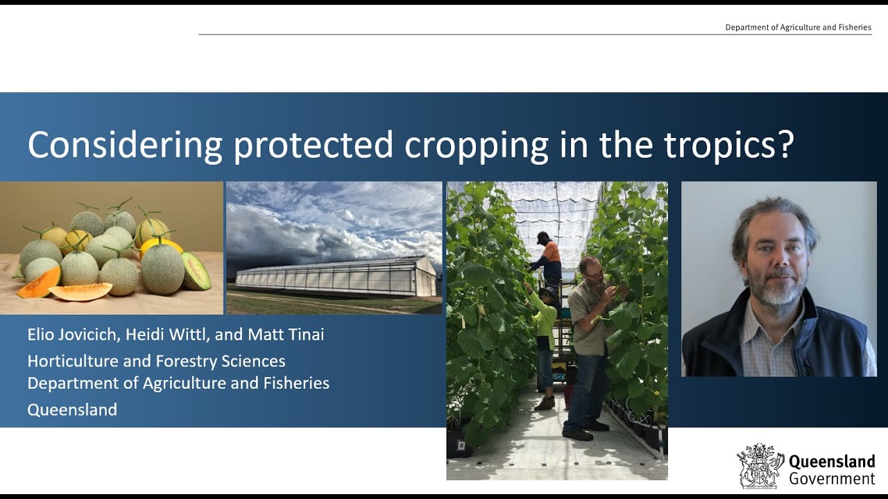 Considering protected cropping in the tropics?