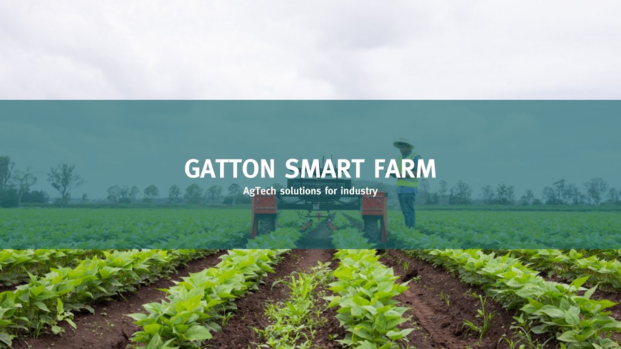 Gatton Smart Farm