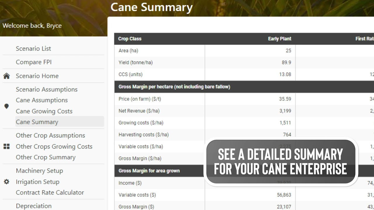 FEAT Online – Sugarcane farm economic analysis tool