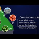 Queensland Agriculture and Fisheries Trade Video – Korean