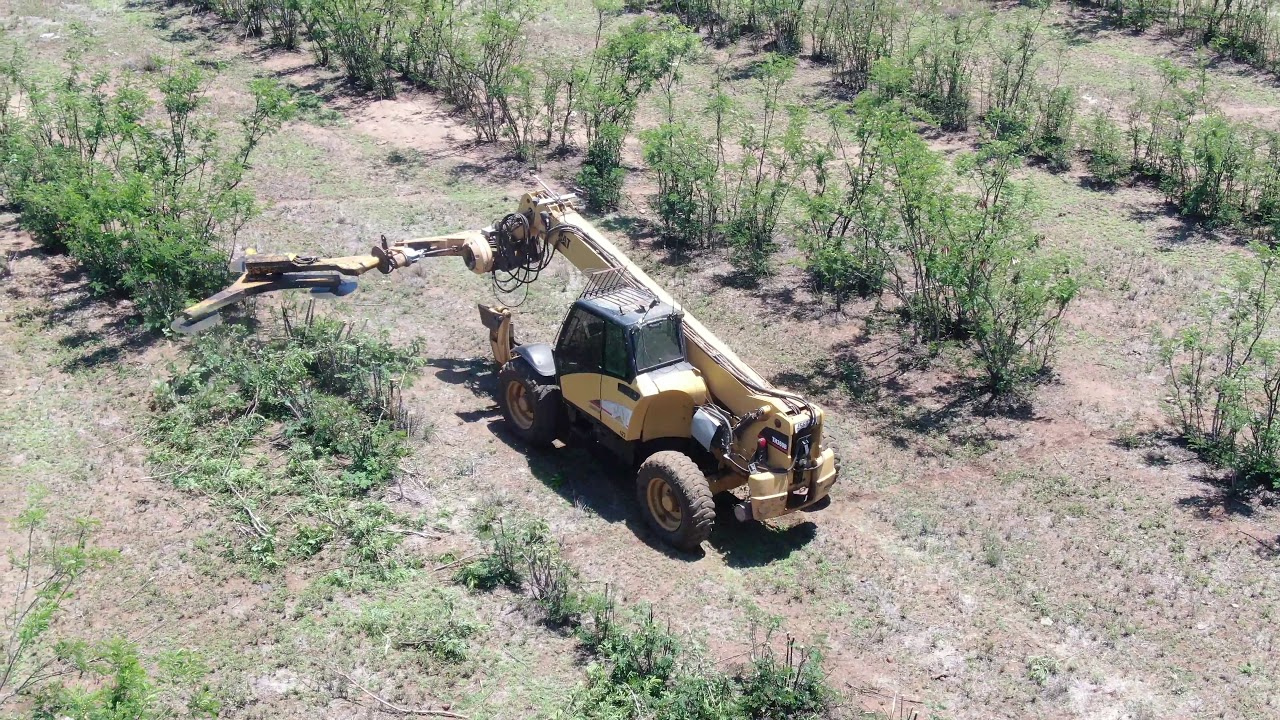 Thin and Trim tree trimmer