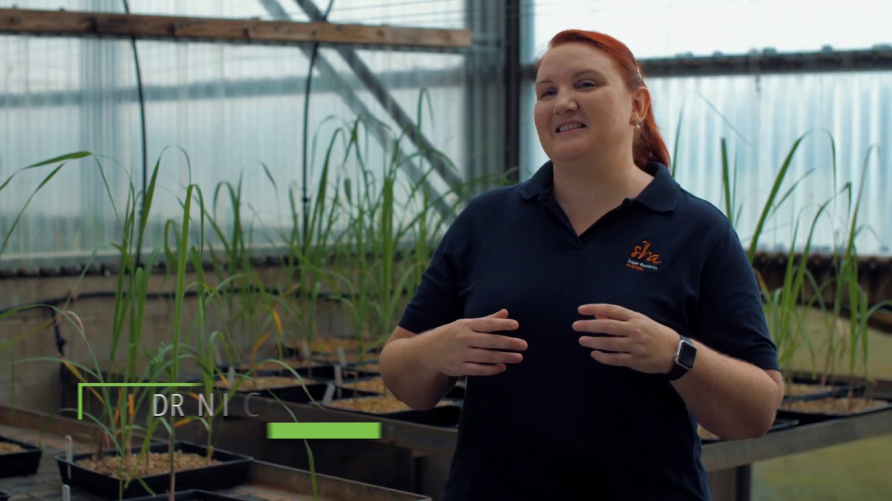 Where can a career in agriculture take you?