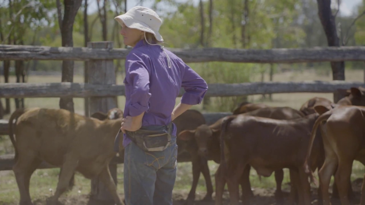 The Queensland Drought Mitigation Centre (QDMC)