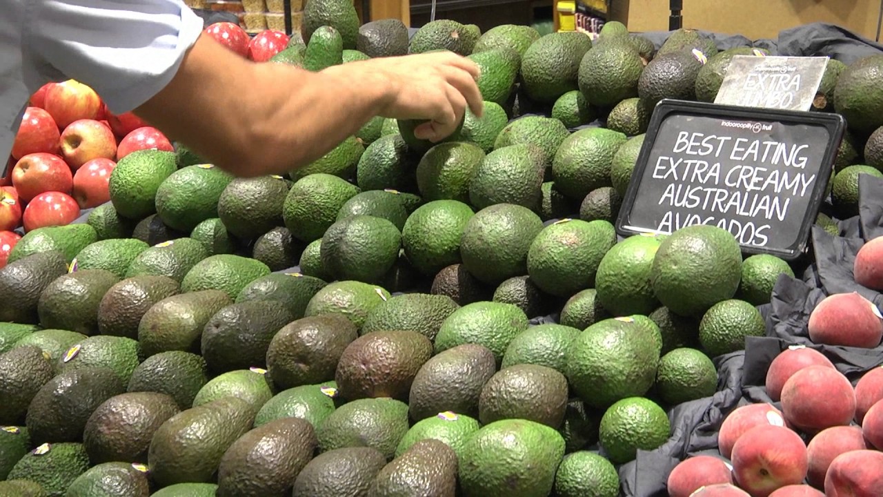 Avocado ripening and handling. A video guide for retailers