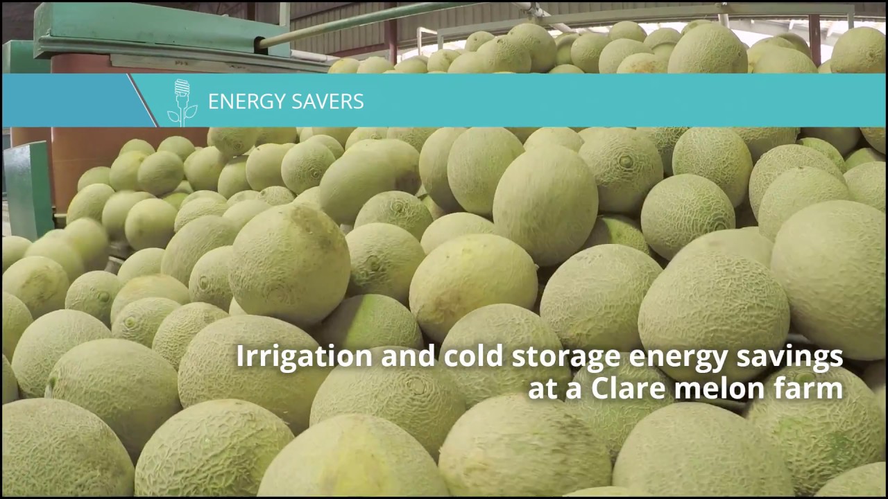 QFF Energy Savers Clare Melon Case Study