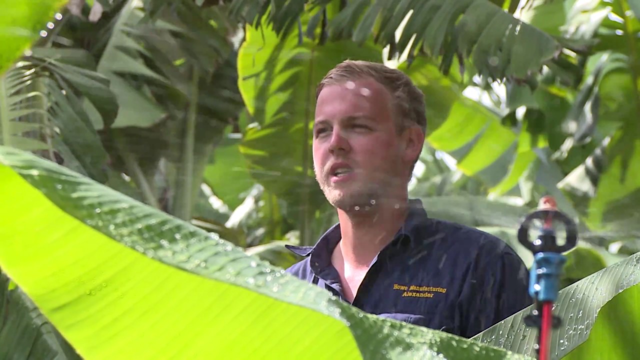 QFF Energy Savers Mareeba Banana Farm Case Study