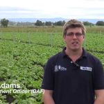 Queensland Wet Tropics – Disaster Resilience Planning for Australian Agriculture
