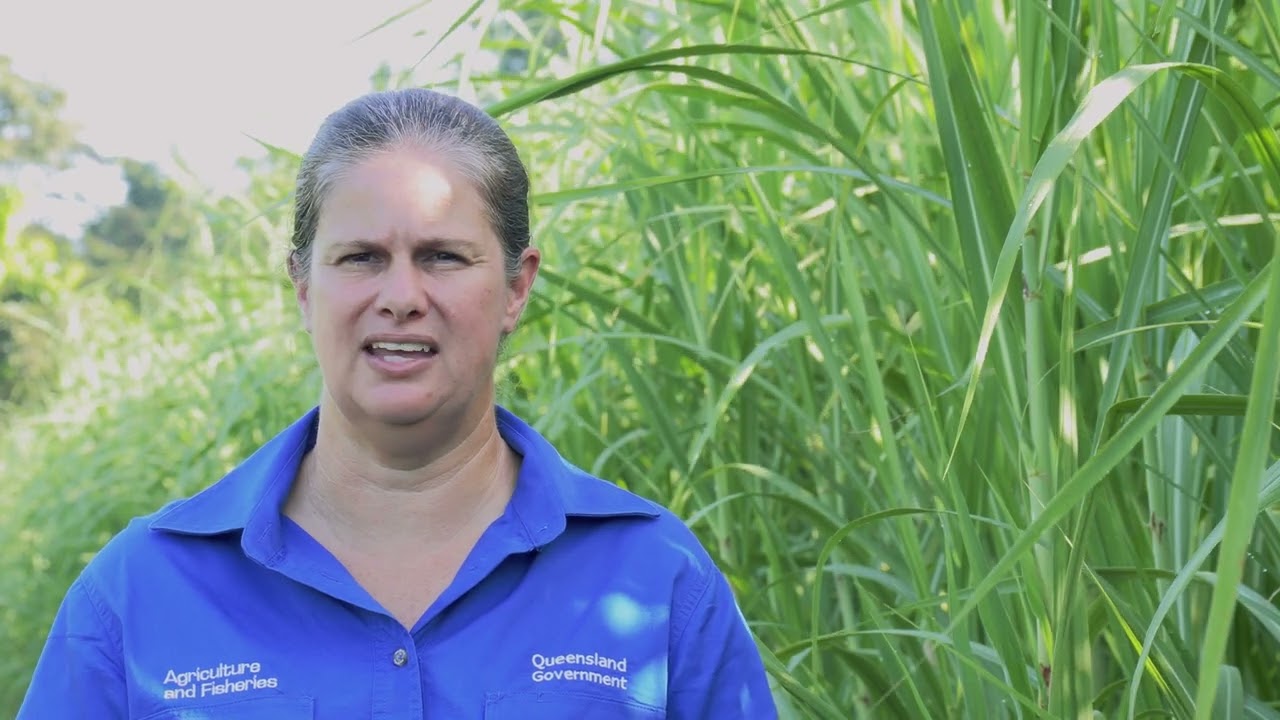 Low Dose Herbicide Trial