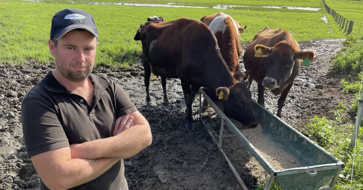 Why this farmer is using gym mats in his dairy