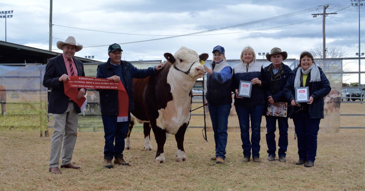 Strong line-up for Dubbo Hereford sale