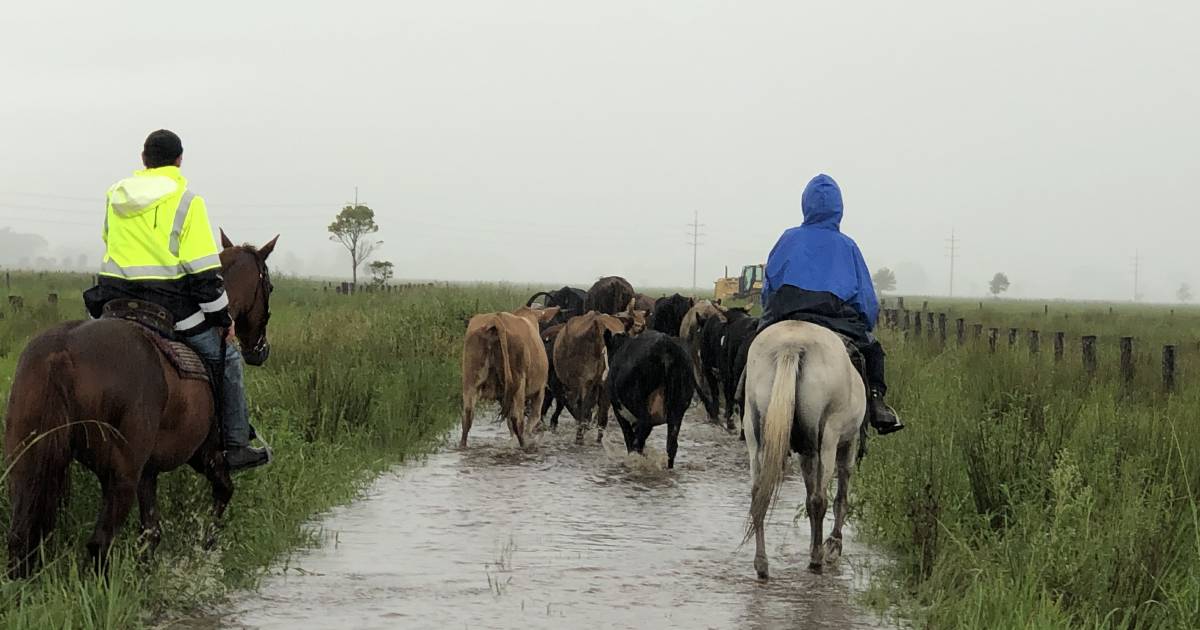 NSW floods costs farmers $323 million and it’s still rising | The Land