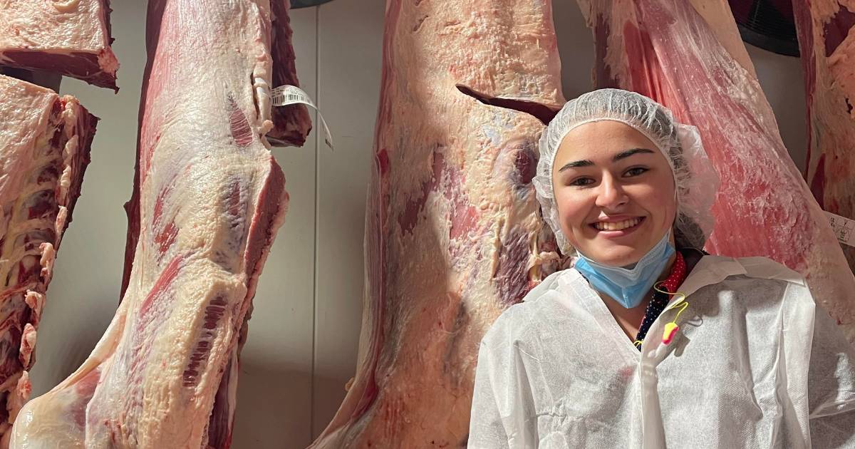 Kempsey talent has a winning eye for beef