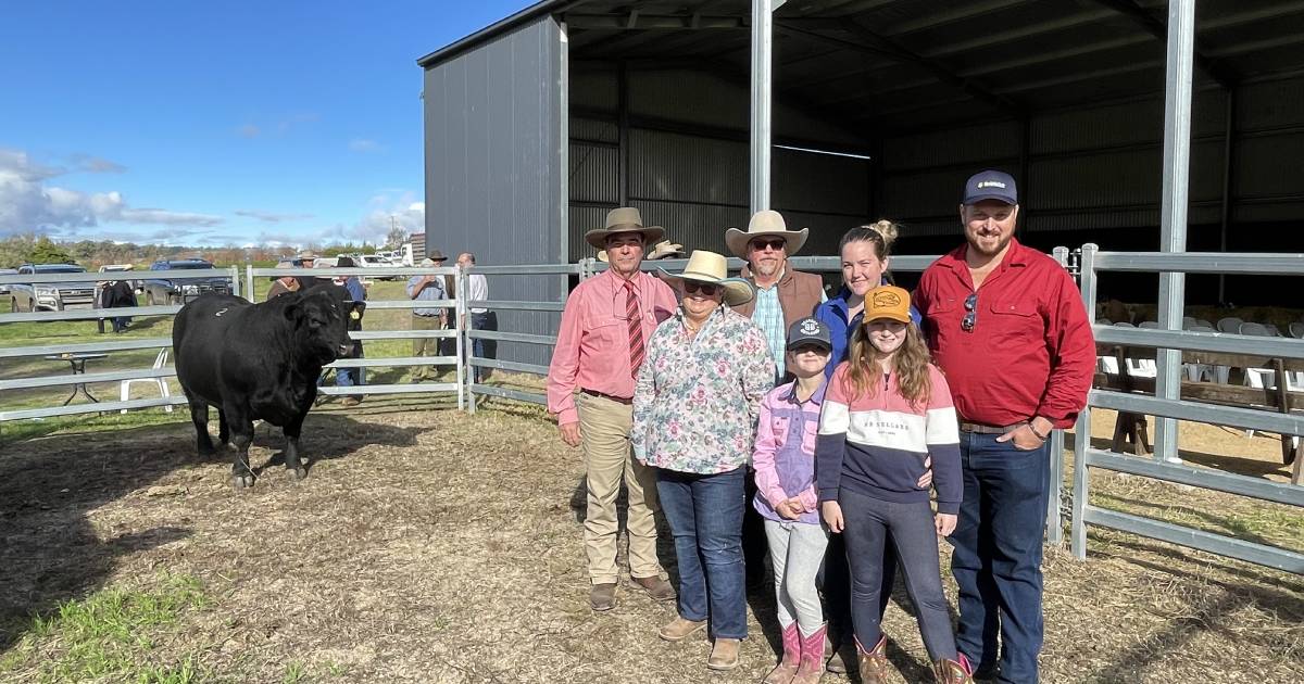 Alumy Creek Angus doubles its best bull price at 2022 sale | The Land