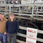 NSW State Sheep Show 2022: Day one results | The Land