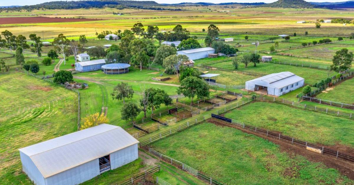 Atkinson's Furlong Stud sold at auction | Video