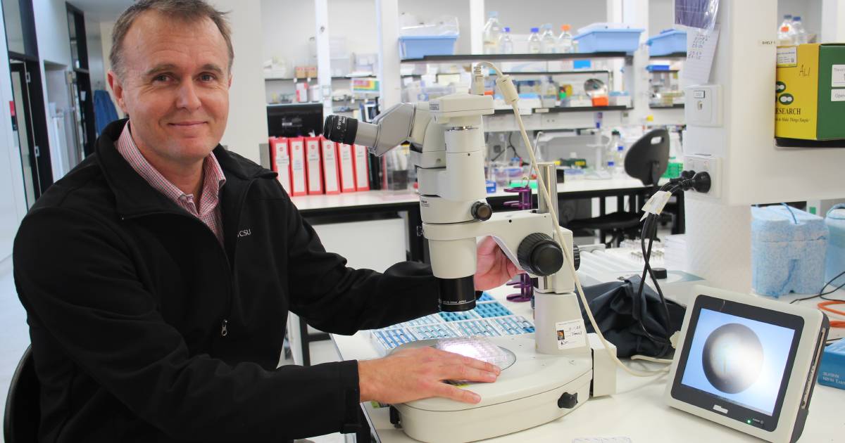 Biosecurity front and centre in new Charles Sturt research project