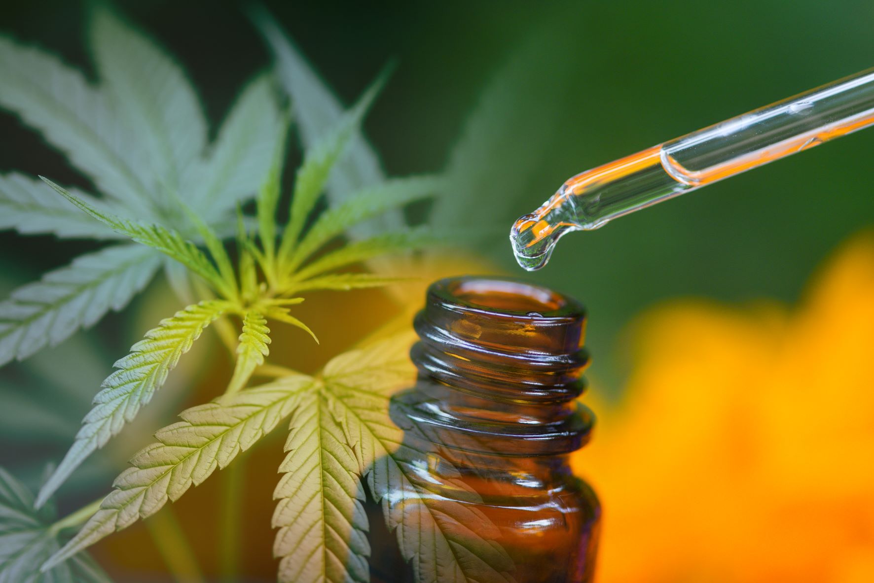 FDA warns four companies for selling CBD products for livestock