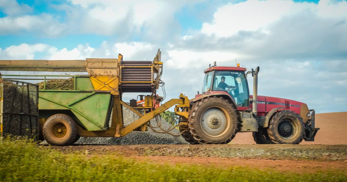 Canegrowers calling for experienced harvest workers to head north this winter as worker shortages continue | North Queensland Register