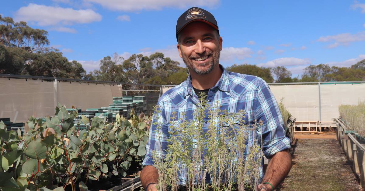 Commonland director checks in on Noongar Land Enterprise Group native tree farm | Farm Weekly