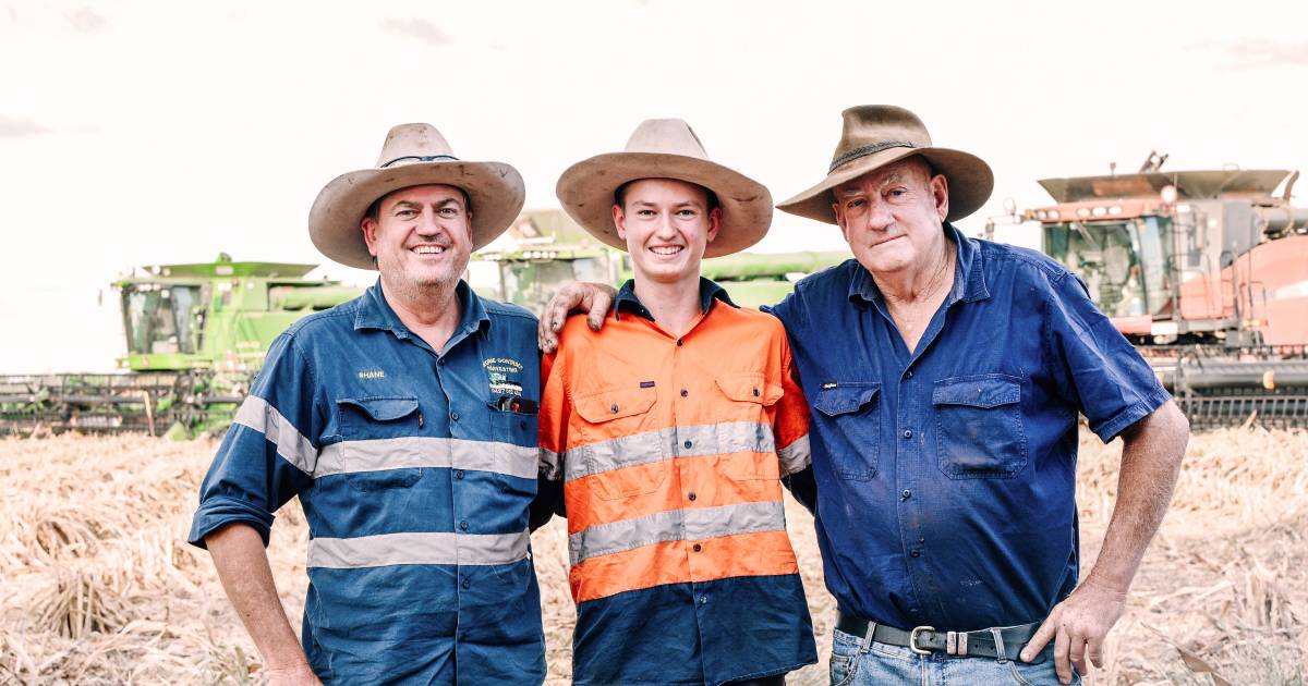 Contractor trio race the rain to harvest sorghum