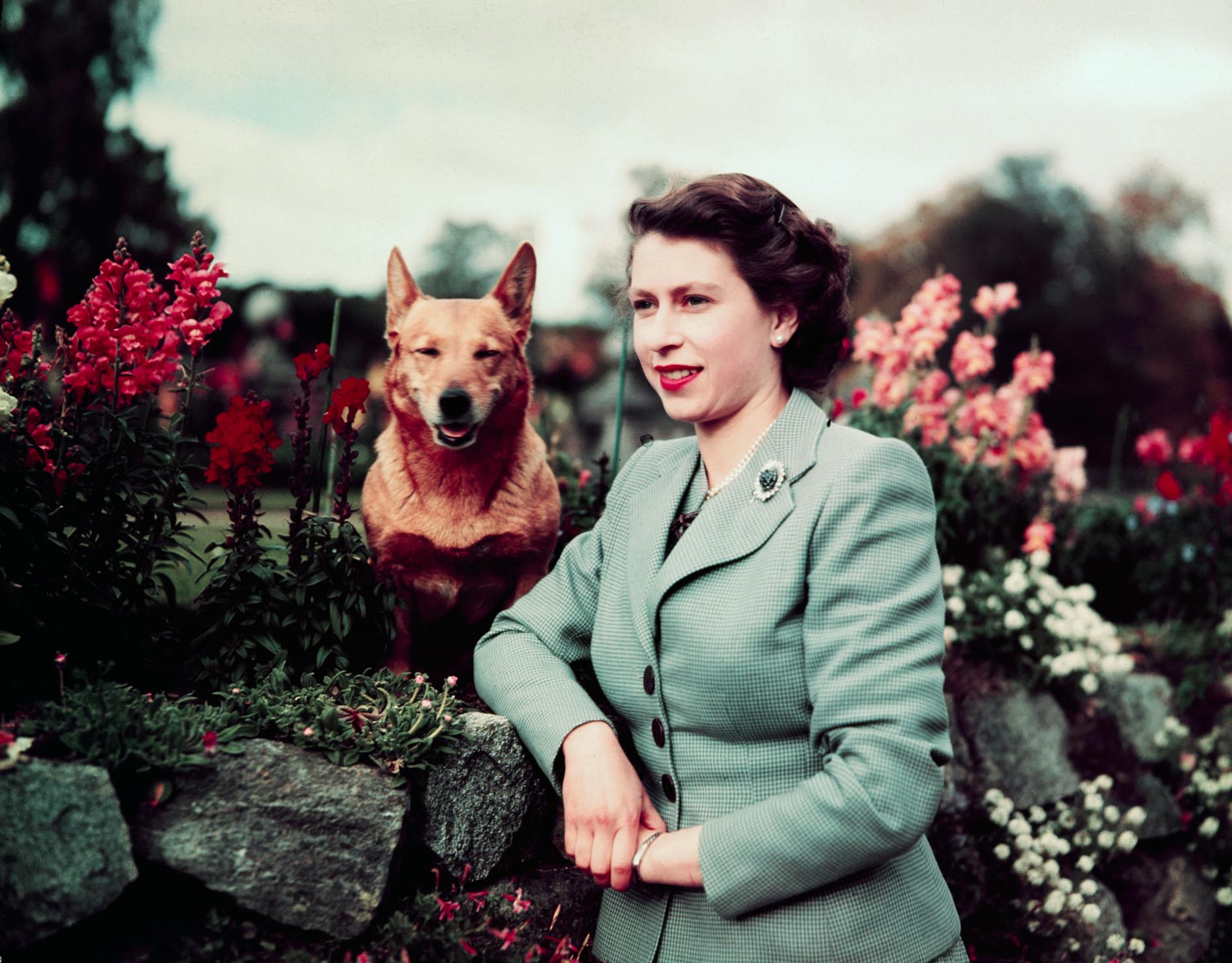 7 fabulous facts about The Queen’s corgis