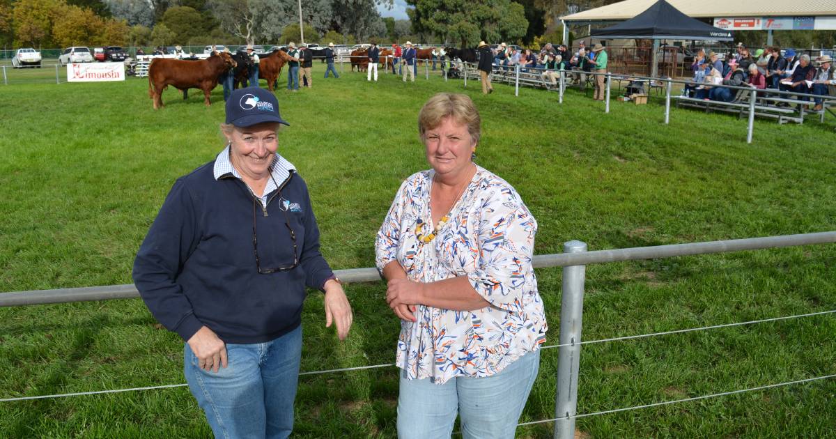 How stimulus funds have helped country show success | The Land