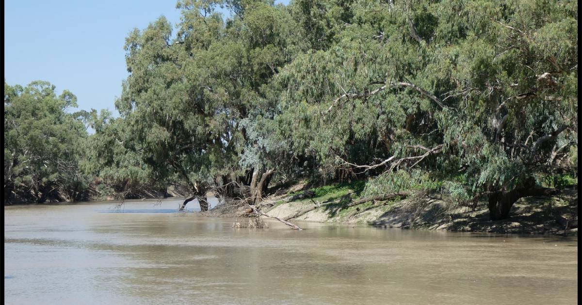 Huge slice of outback history for sale