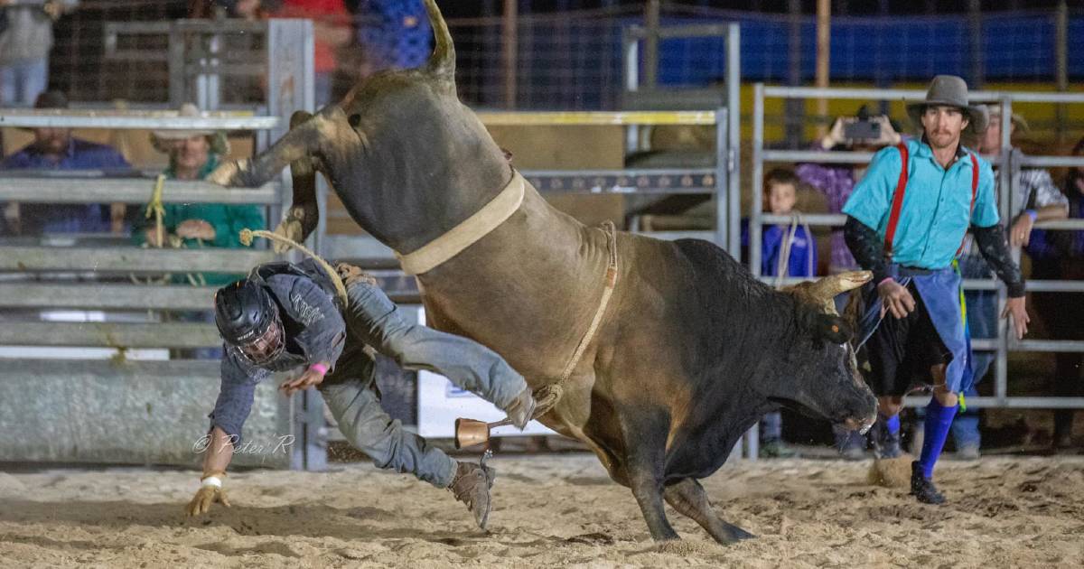 Iconic muster draws crowd to the outback