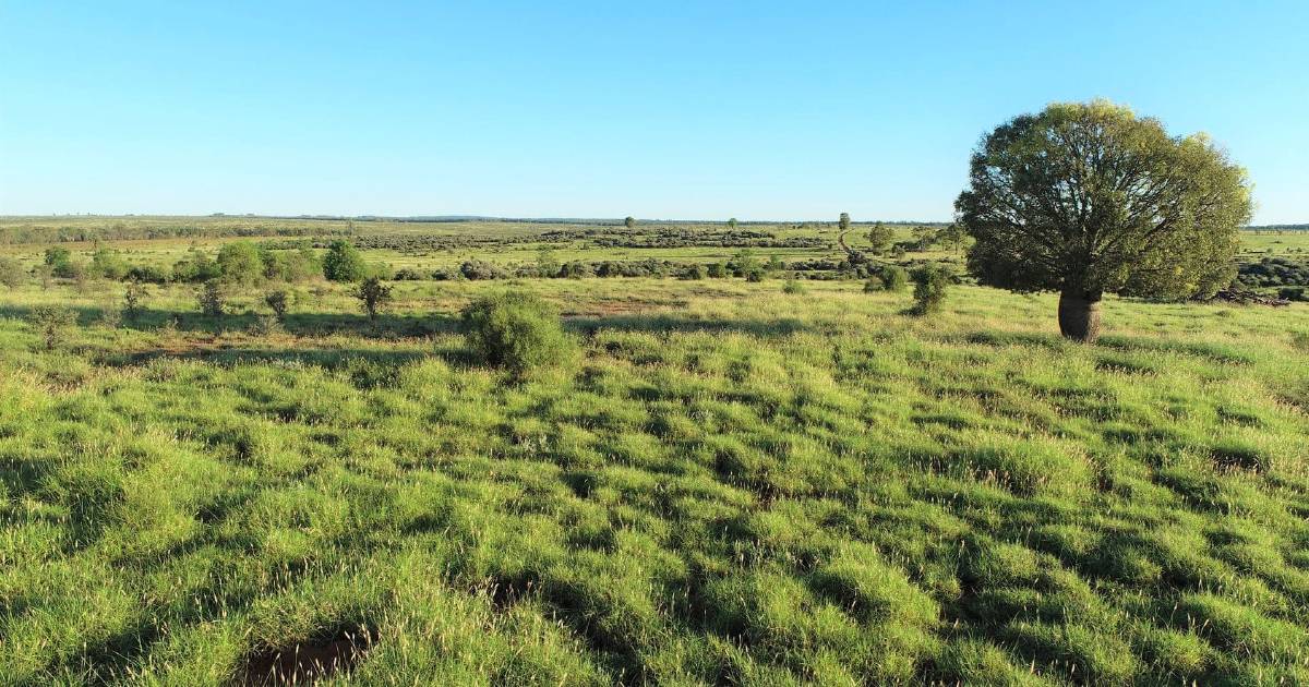 Maranoa country: What you get for $10.5 million | Video