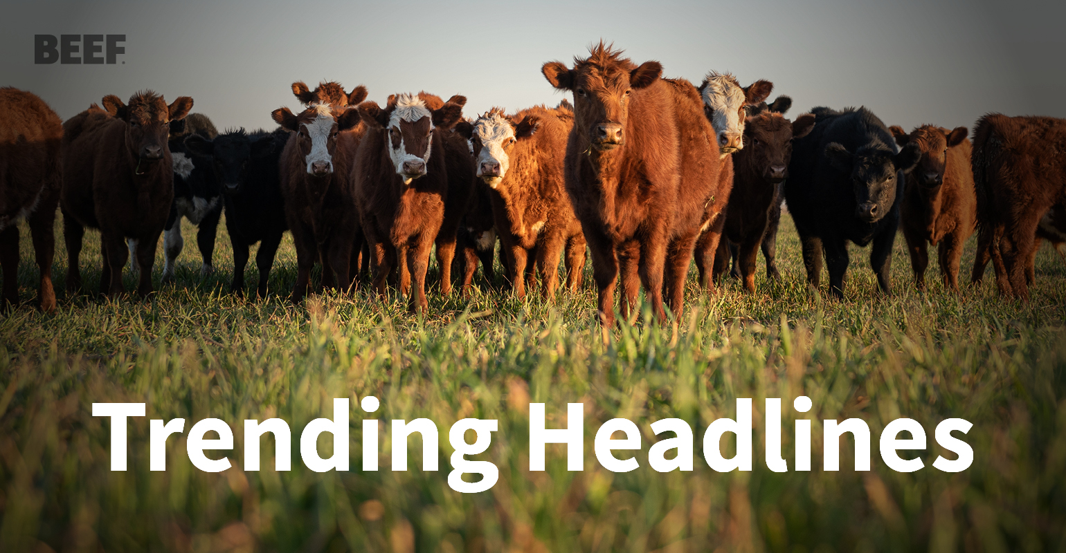 5 Trending headlines in the beef world