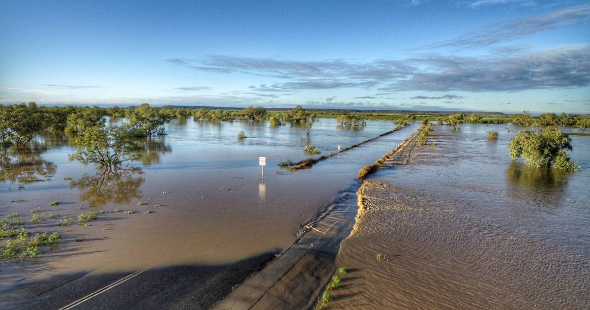 Monsoon memories as northern cattle producers experience cold, gusty rain | Queensland Country Life