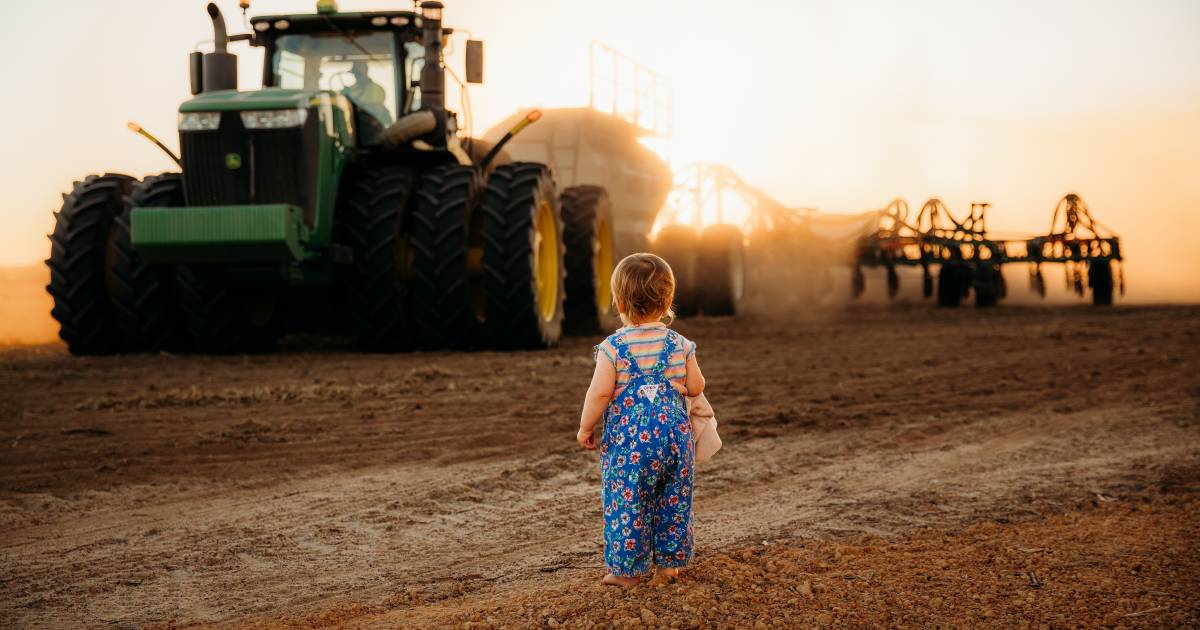 More canola seeded in WA than anywhere else