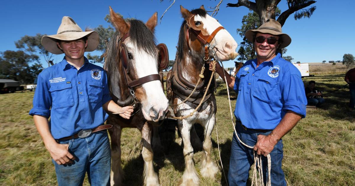 More photos from Wallabadah's The Way it Was festival