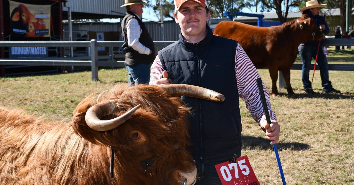 Program released for FarmFest livestock competitions