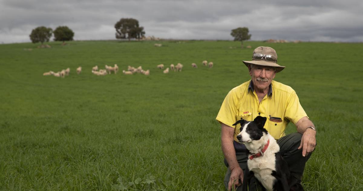 Riverina farmers welcome soaking from above-average May rainfall | The Land