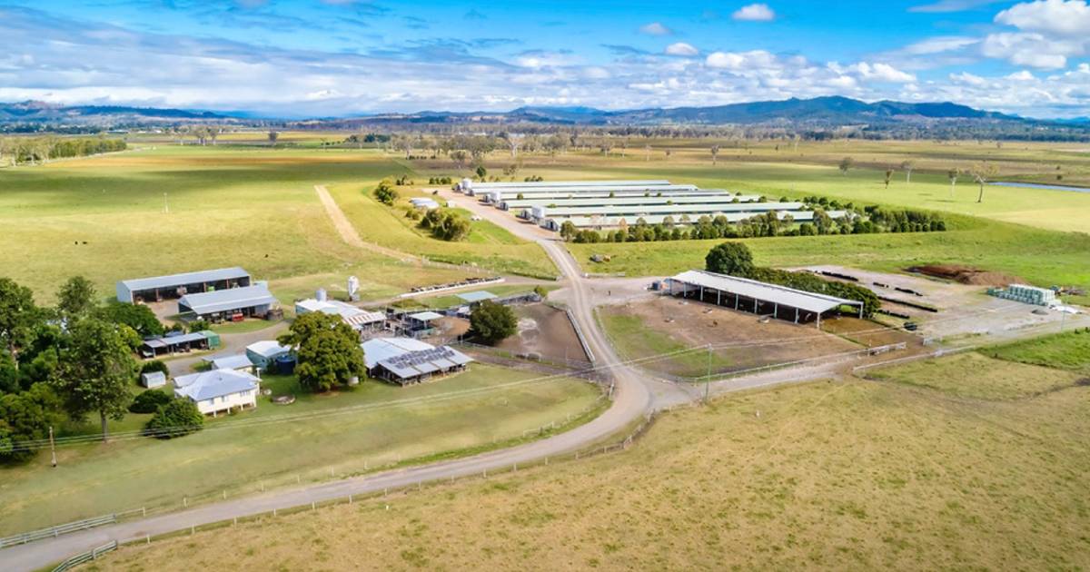 Scenic Rim: 240,000 reasons why this free range farm with cattle and cropping options is in demand | Queensland Country …