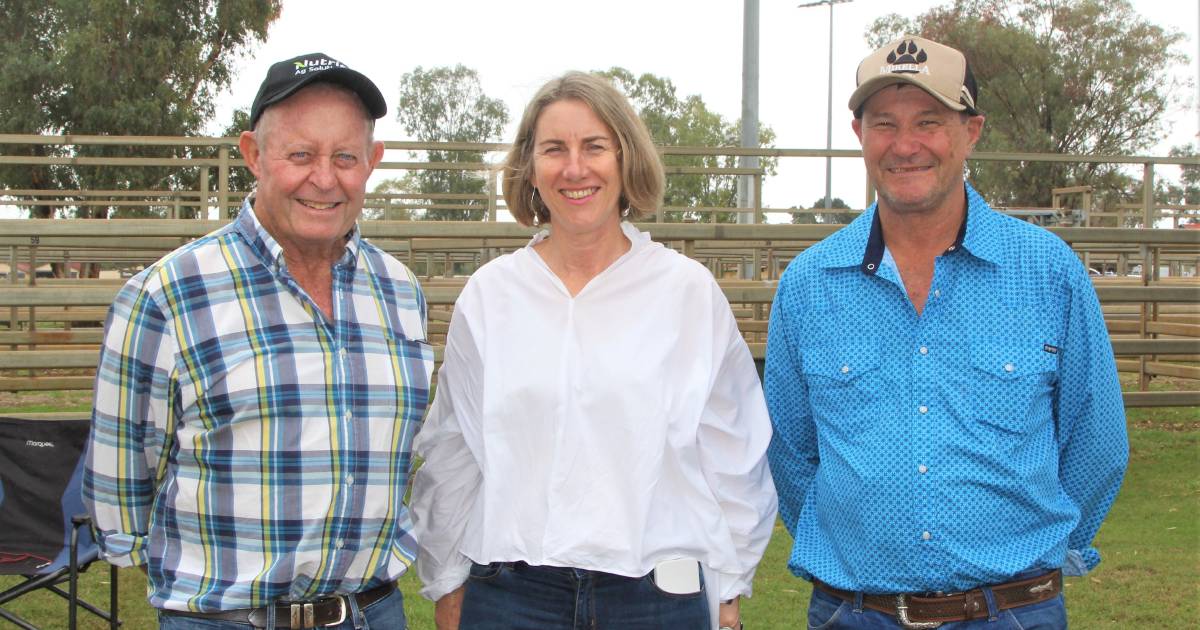 Sheepdog trials a highlight of 2022 Charleville Show | Queensland Country Life