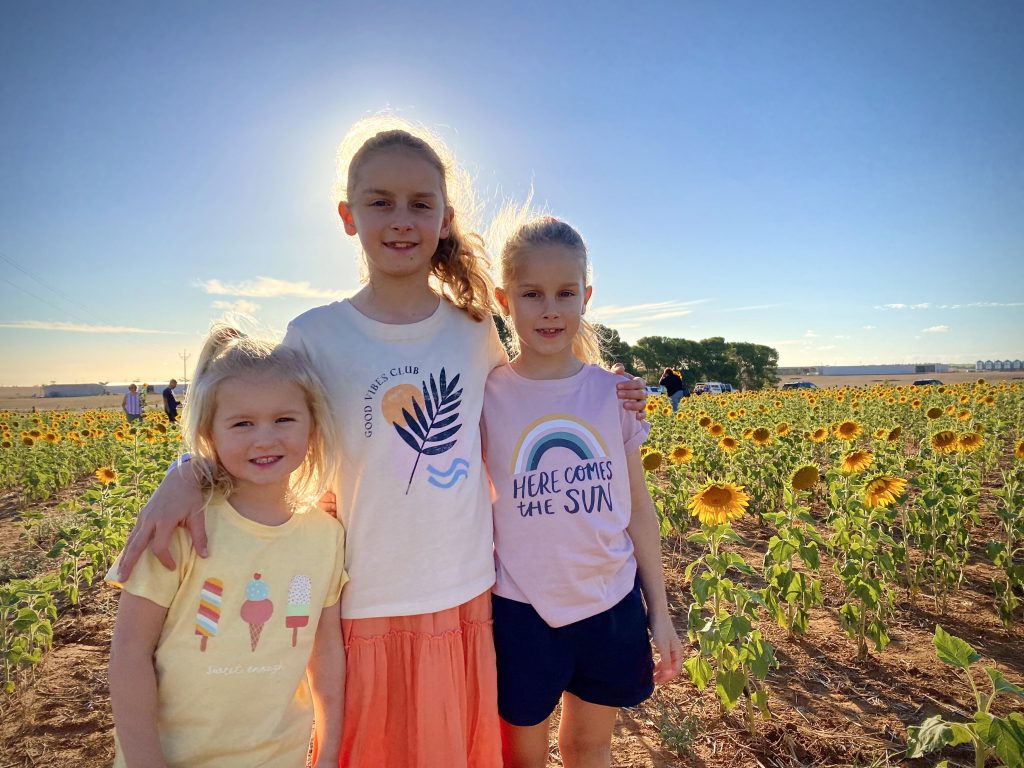 Sunflowers brighten the day for thousands