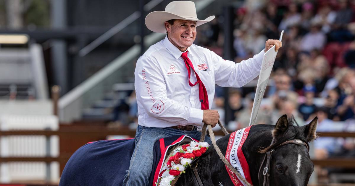 Willinga Park World Championship Gold Buckle Campdraft won by Mat Holz riding the Hazelwood Conman son, Nonda Last Front…