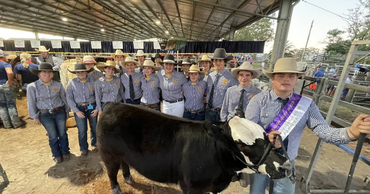 Wingham Beef Week's grand champion parader awarded: PHOTOS AND RESULTS