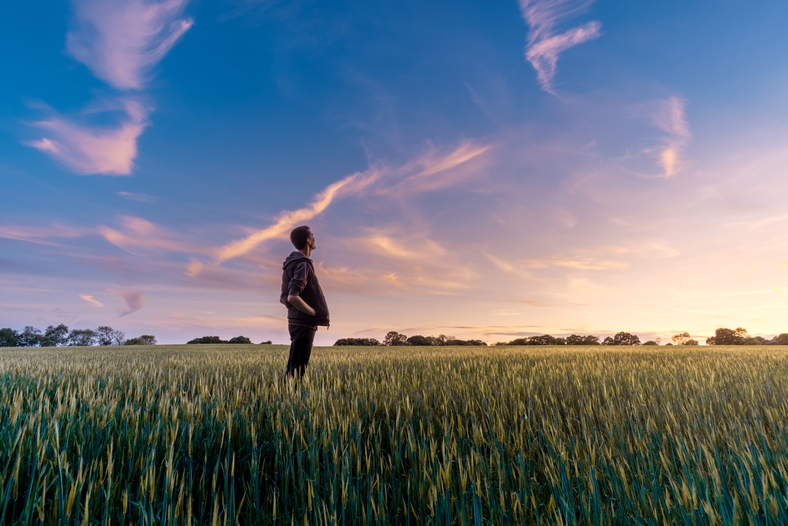 Youth-led recovery for community – Future Farmers Network