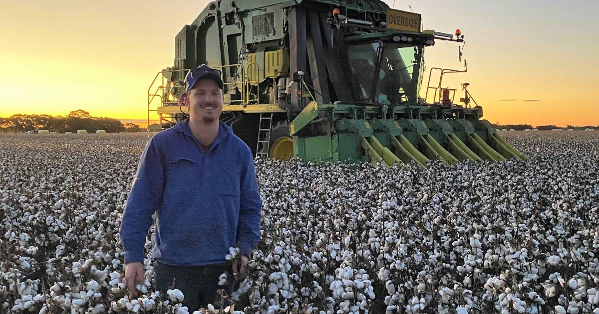 Coleambally cotton farmer Charlie Black says cotton margins stack up well | The Land