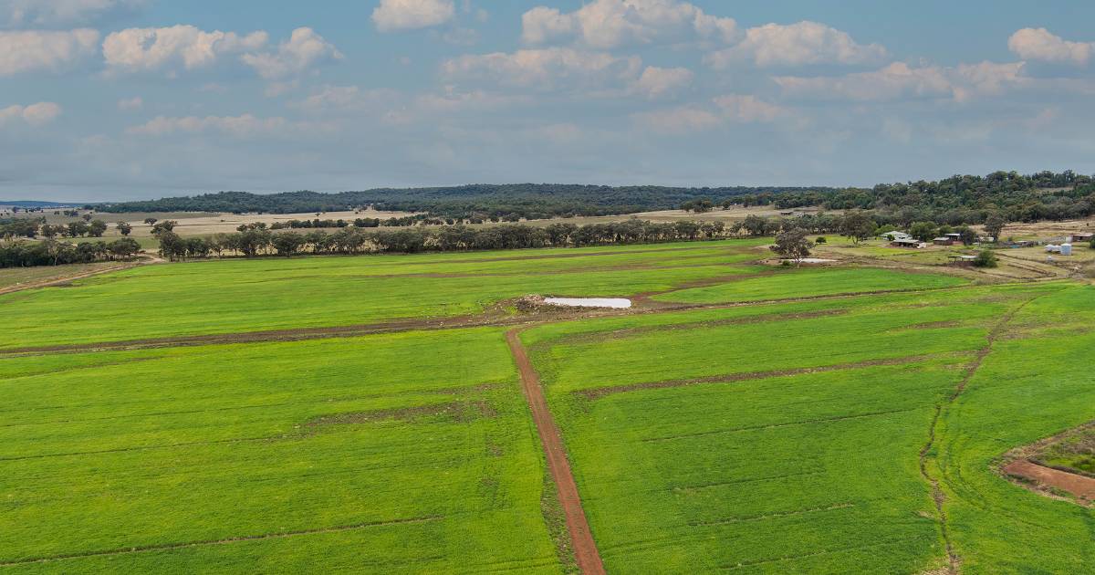 Thousand-acre first farm opportunity