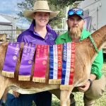 Southern cattle producers urged to convert surplus grass into cash