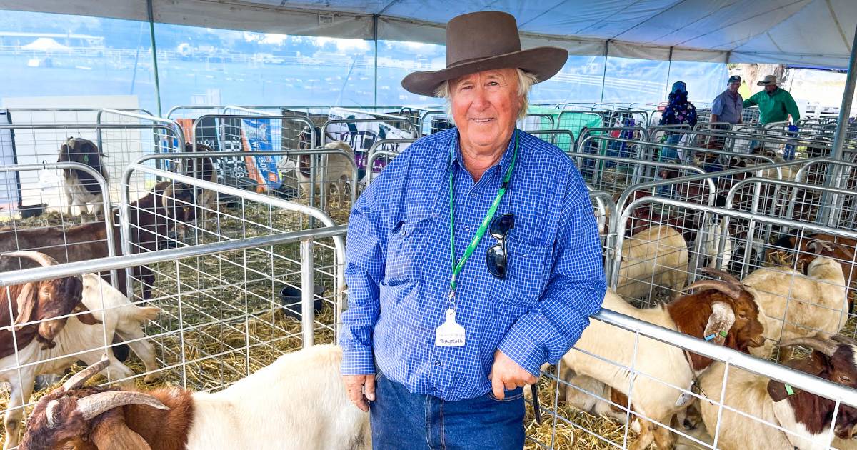 Emerald goat breeding success 40 yrs in making