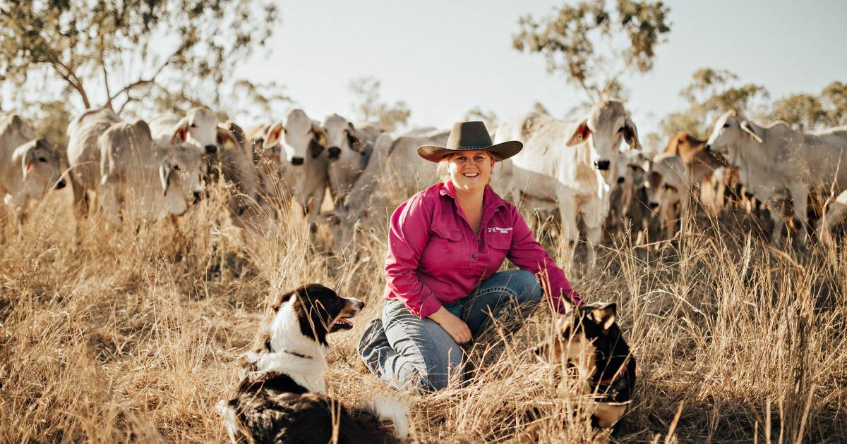 View From the Paddock: Election big top circus | Queensland Country Life