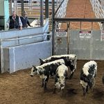 Five NSW farmland sales in a week show few interest rate jitters