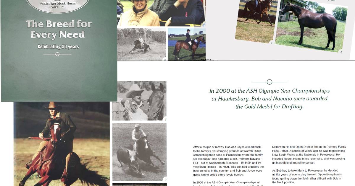 Australian Stock Horses celebrates 50 years